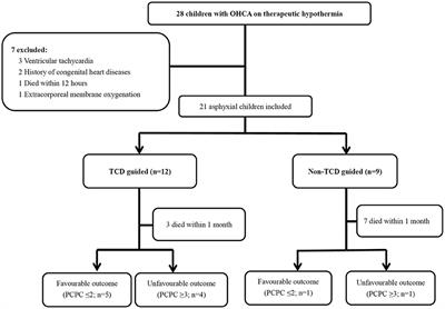 The Utility of a Point-of-Care Transcranial Doppler Ultrasound Management Algorithm on Outcomes in Pediatric Asphyxial Out-of-Hospital Cardiac Arrest – An Exploratory Investigation